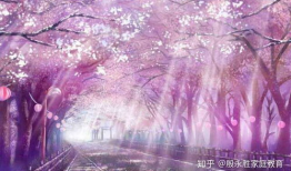 樱花通信漫画,青春校园的浪漫邂逅